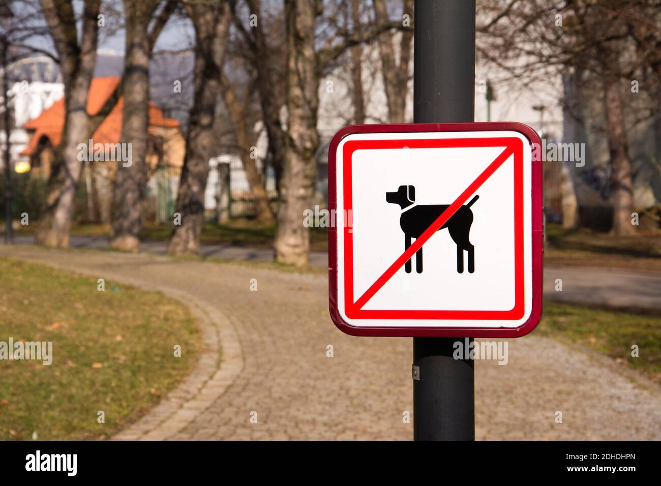 No hay perros firmar en estacionamiento Foto de stock