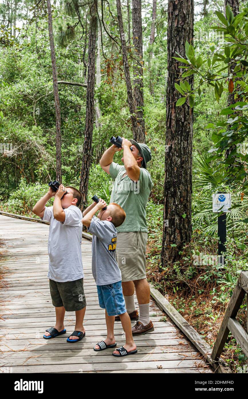 Alabama Dauphin Island Audubon Bird Sanctuary, hombre abuelo nieto hijos niños niños pájaros pájaros pájaros binoculares mirando, paseo por la naturaleza, Foto de stock