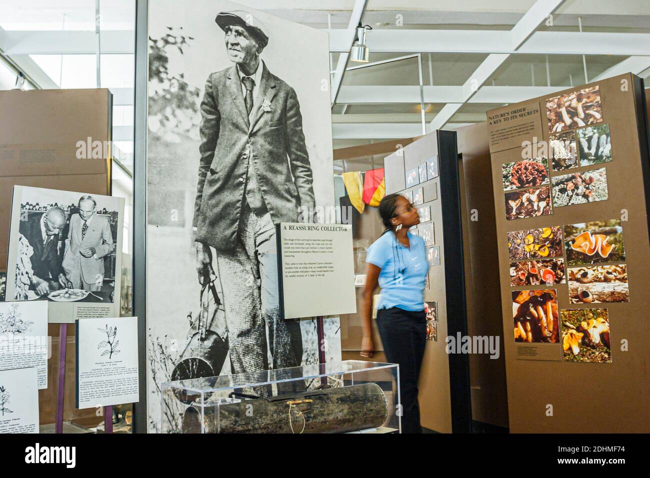 Alabama Tuskegee Institute National Historic Site,George Washington Carver Museum EXHIBICIÓN EXHIBICIÓN DE LA EXHIBICIÓN Mujer negra mirando, dentro de inte Foto de stock