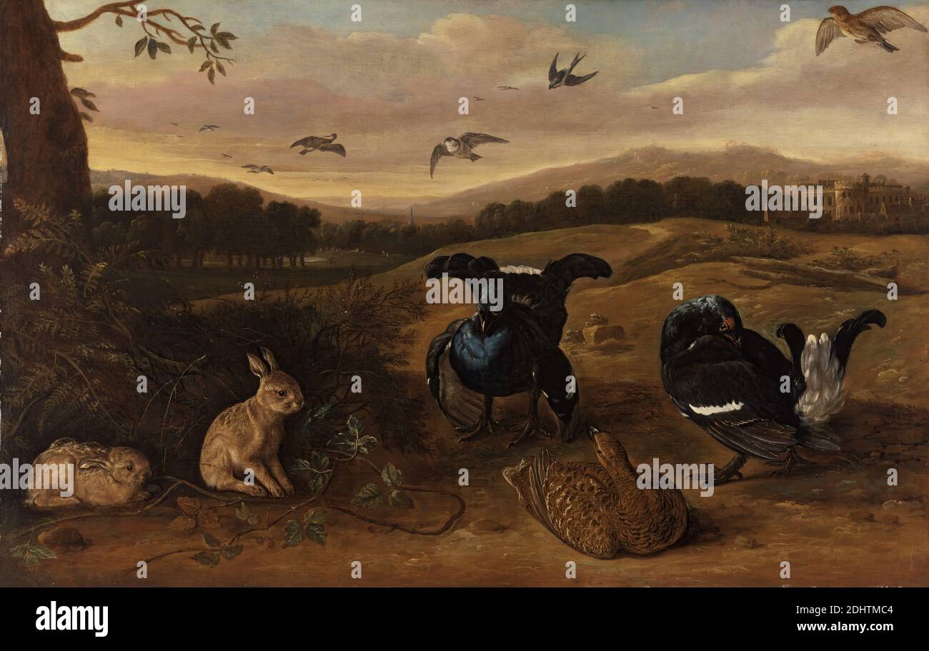 Black Game, Rabbits, and Swallows in a Park, Leonard Knyff, 1650–1721, holandés, activo en Gran Bretaña (para 1681), ca. 1700, óleo sobre lienzo, Soporte (PTG): 35 1/2 x 56 pulgadas (90.2 x 142.2 cm), arte animal, aves, negro, castillo, casa de campo, cortejo, ciervos, plumas, colinas, caza, paisaje, parque (terreno), conejos, golondrinas Foto de stock