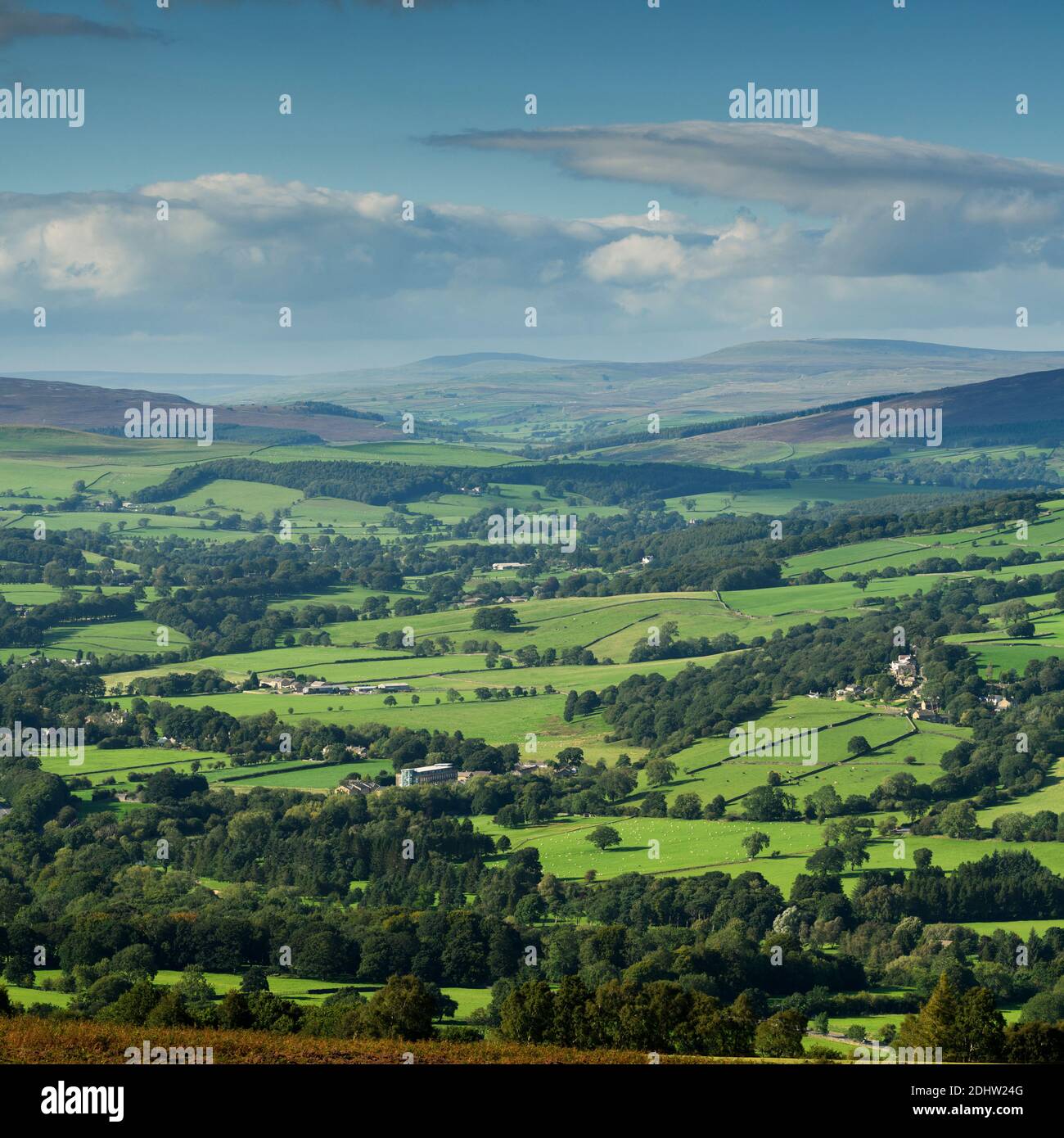 Vista escénica del campo de Wharfedale (amplio valle verde, colinas onduladas, altos fells, luz solar en tierra, cielo azul) - West Yorkshire, Inglaterra, Reino Unido. Foto de stock