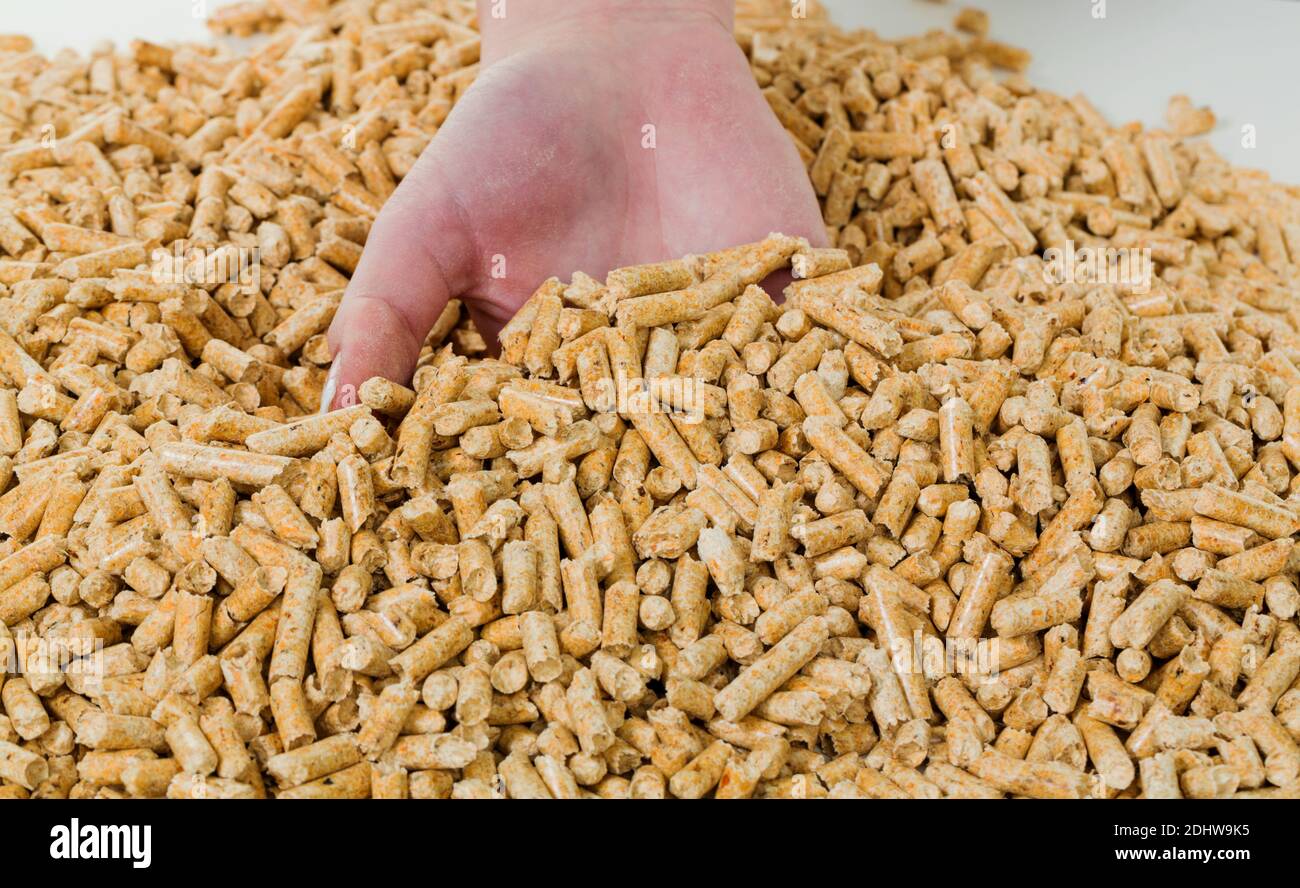 Mit mano, Biogene Festbrennstoffe Holzpellets Foto de stock
