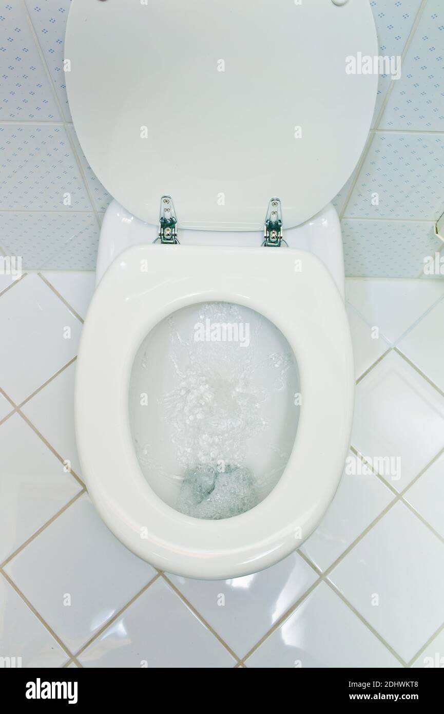 Eine hygienische Toilette mit Wasserspülung in einem Haushalt. Badezimmer und WC Foto de stock
