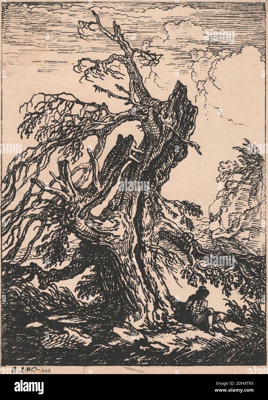 Estudio de un árbol, Raphael Lamar West, 1769–1850, British, 1802, publicado en 1807 Foto de stock