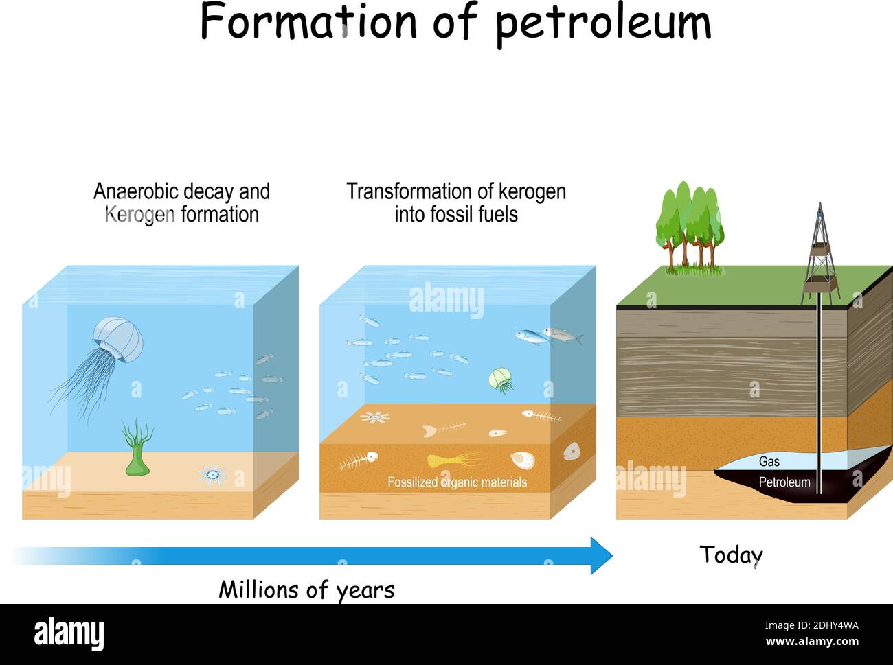 Formación de petróleo. Formación de petróleo y gas. Combustibles fósiles derivados de antiguos materiales orgánicos fosilizados. Ilustración del Vector