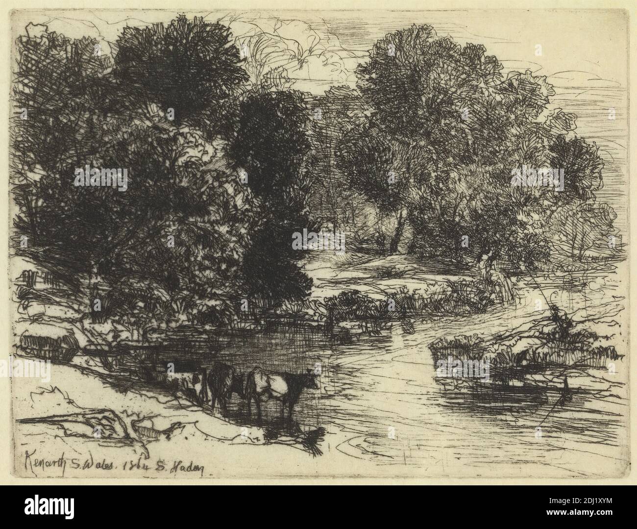 Reflejos de árboles y cañas en las orillas del Canal de Santa Elena  Fotografía de stock - Alamy