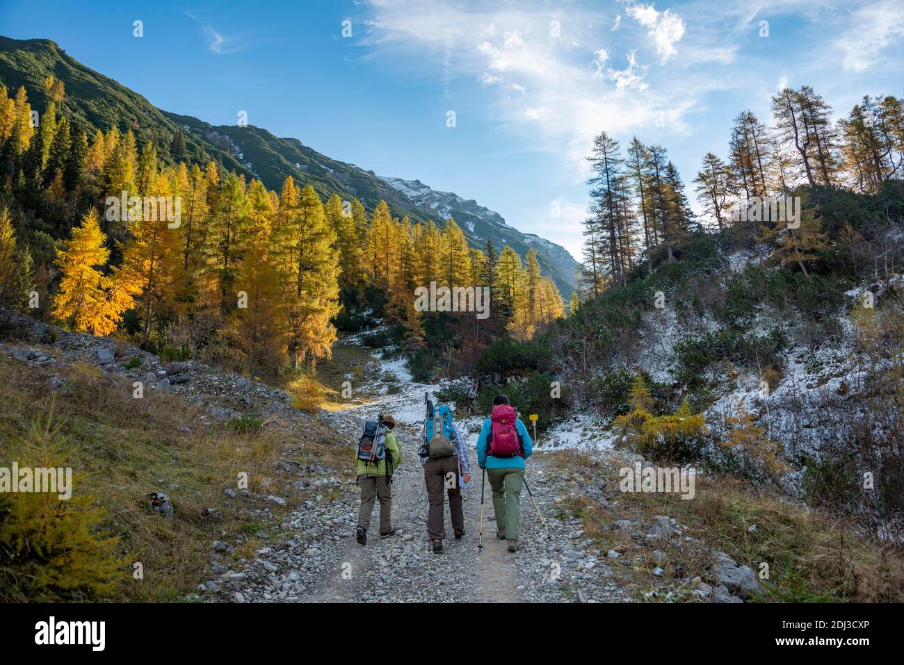 Tres excursionistas en una ruta de senderismo, alerces amarillos descoloridos en otoño, caminata a la cumbre del Hahnenkampl, Engtal, Karwendel, Tirol, Austria Foto de stock