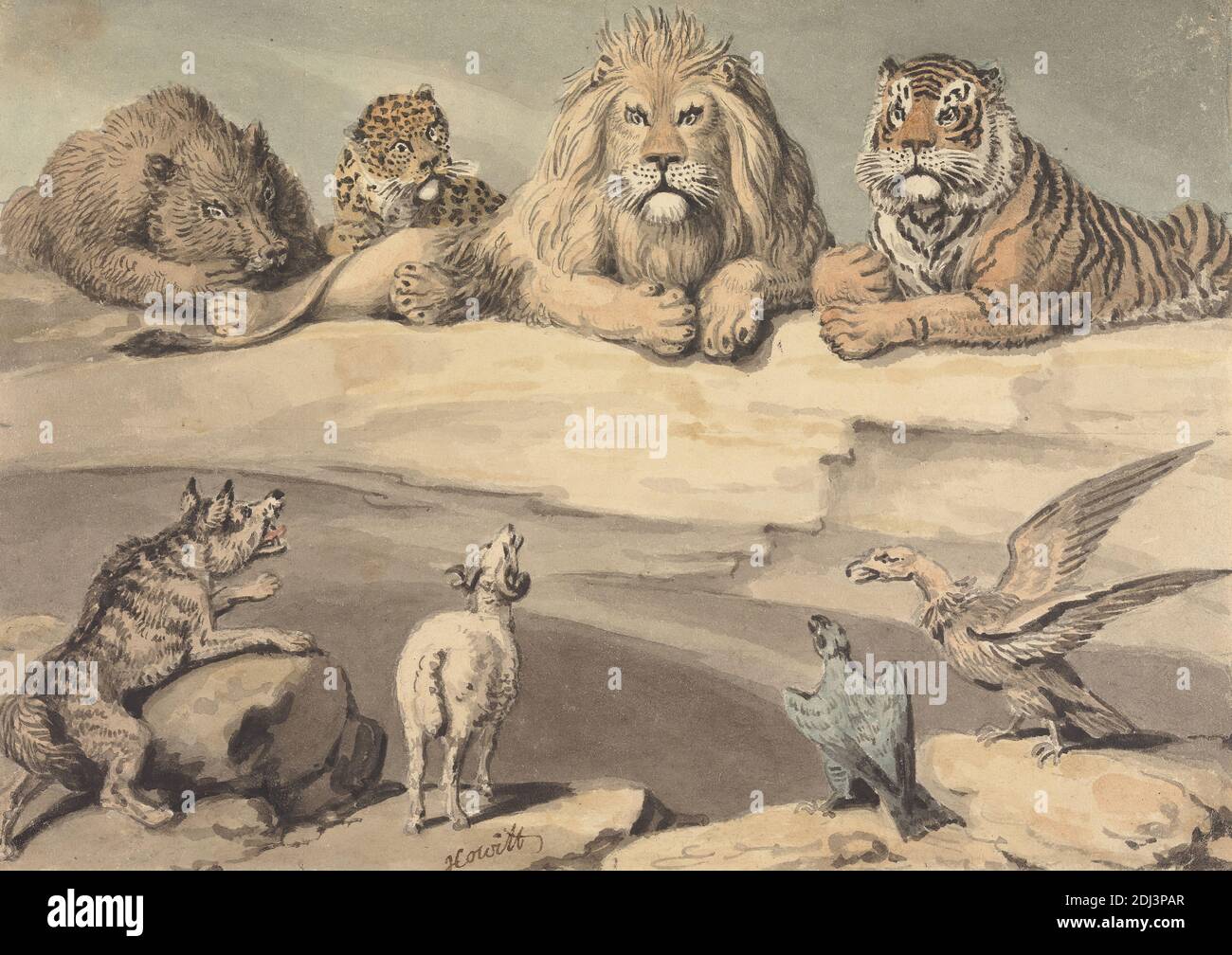 Hombre rico Destruir fluir Un Boar, un leopardo, un León, un Tigre, un Lobo, un Ram, y dos Águilas,  Samuel Howitt, 1756–1822, británico, sin fecha, acuarela, con pluma, en  tinta negra, y tinta gris, y rastros