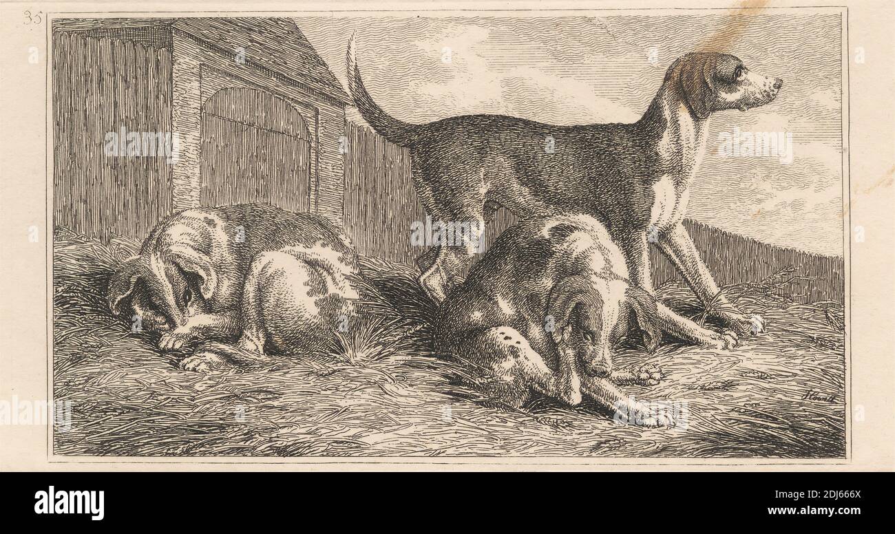 Tres perros, impresión hecha por Samuel Howitt, 1756–1822, británico, sin fecha, grabado en papel de move de color crema, de textura media y ligeramente texturizada Foto de stock