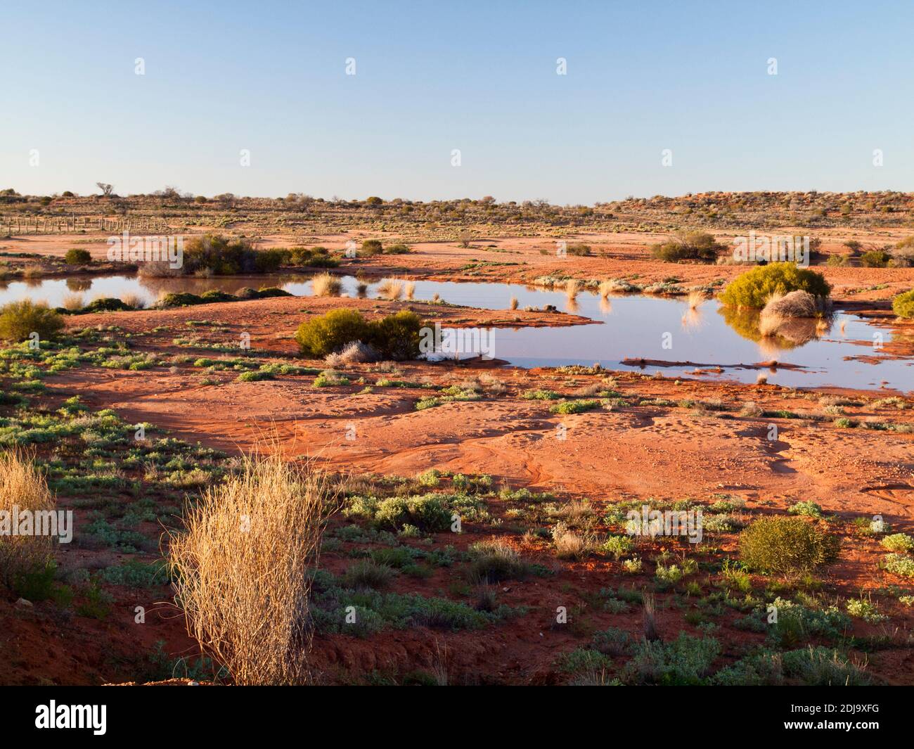 Precipitaciones recientes que se encuentran en un desierto empapado a lo largo de la carretera Precipitaciones recientes que se encuentran en un desierto empapado a lo largo de la carretera
