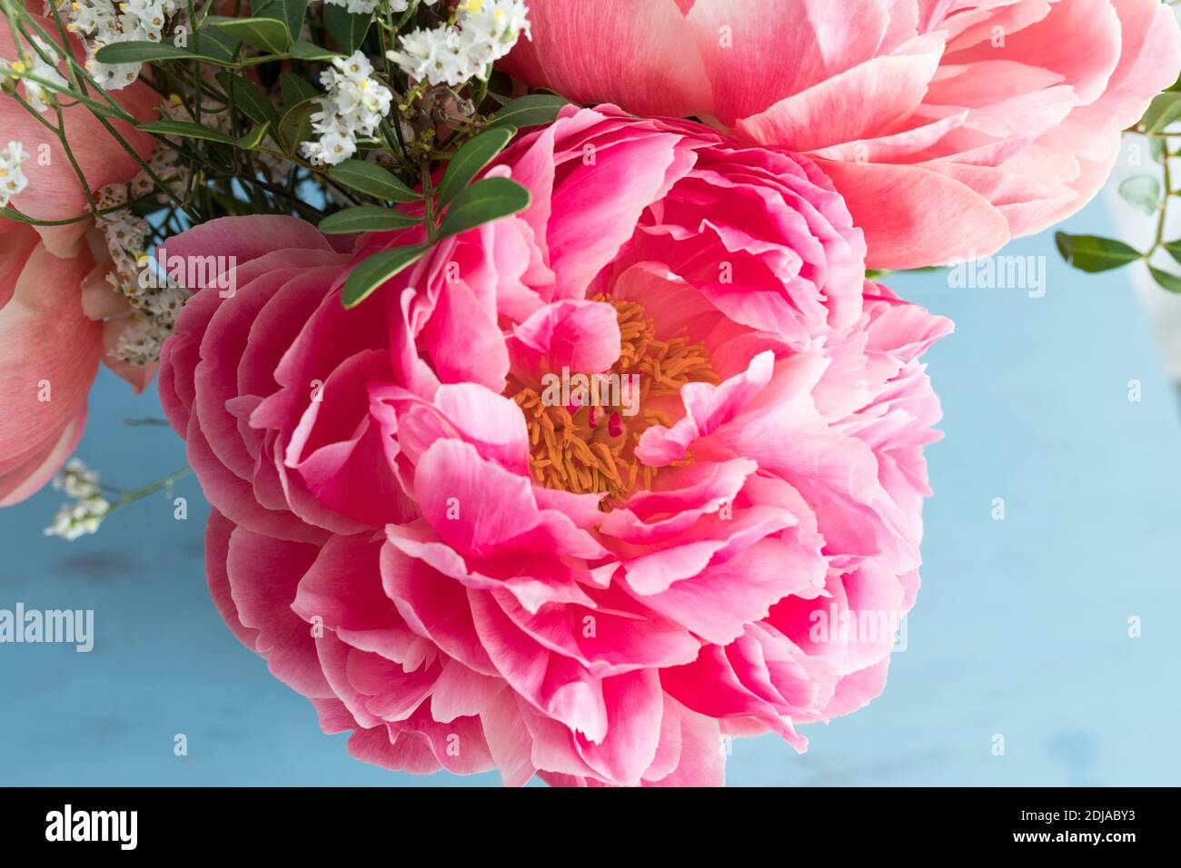 Enorme flor de peonía rosa preciosa en un ramo. Foto de stock