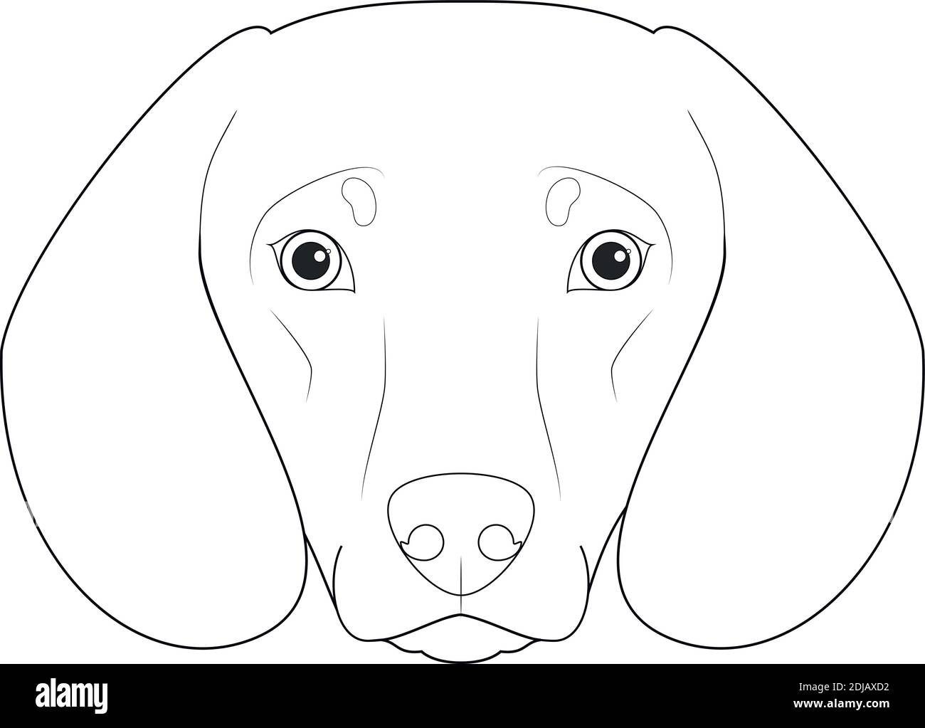 Dachshund perro fácil de colorear dibujo vectorial de dibujos animados.  Aislado sobre fondo blanco Imagen Vector de stock - Alamy