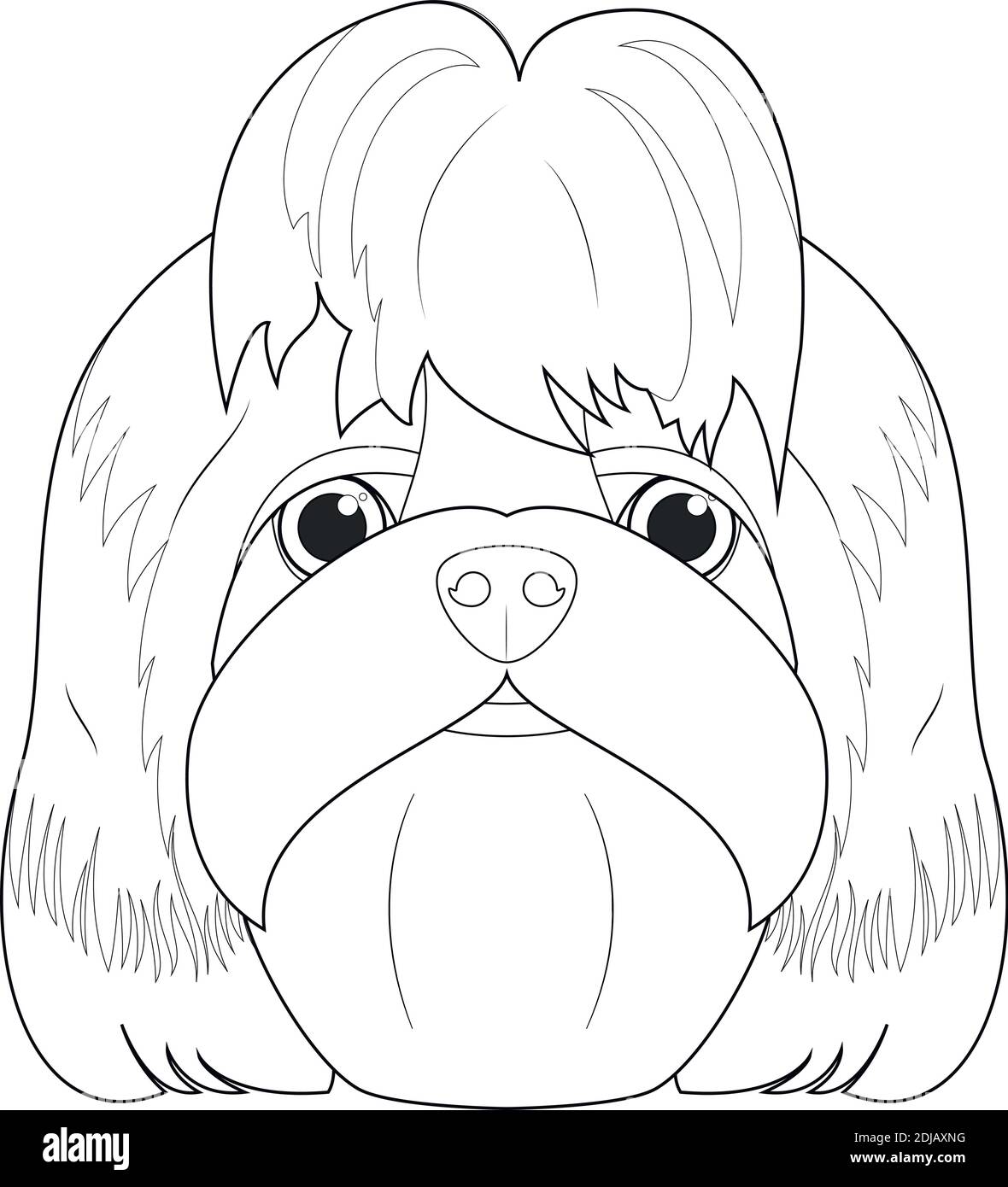 Shih Tzu perro fácil de colorear dibujo vectorial de dibujos animados.  Aislado sobre fondo blanco Imagen Vector de stock - Alamy