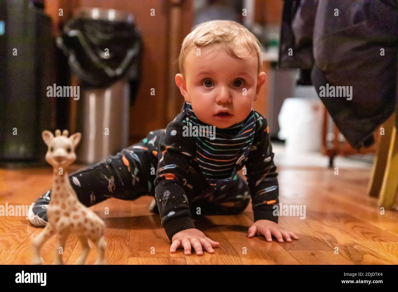 Lindo y curioso niño vestido de noche, jugando en el suelo de madera en casa con juguetes de animales como jirafa mientras mira la cámara Foto de stock