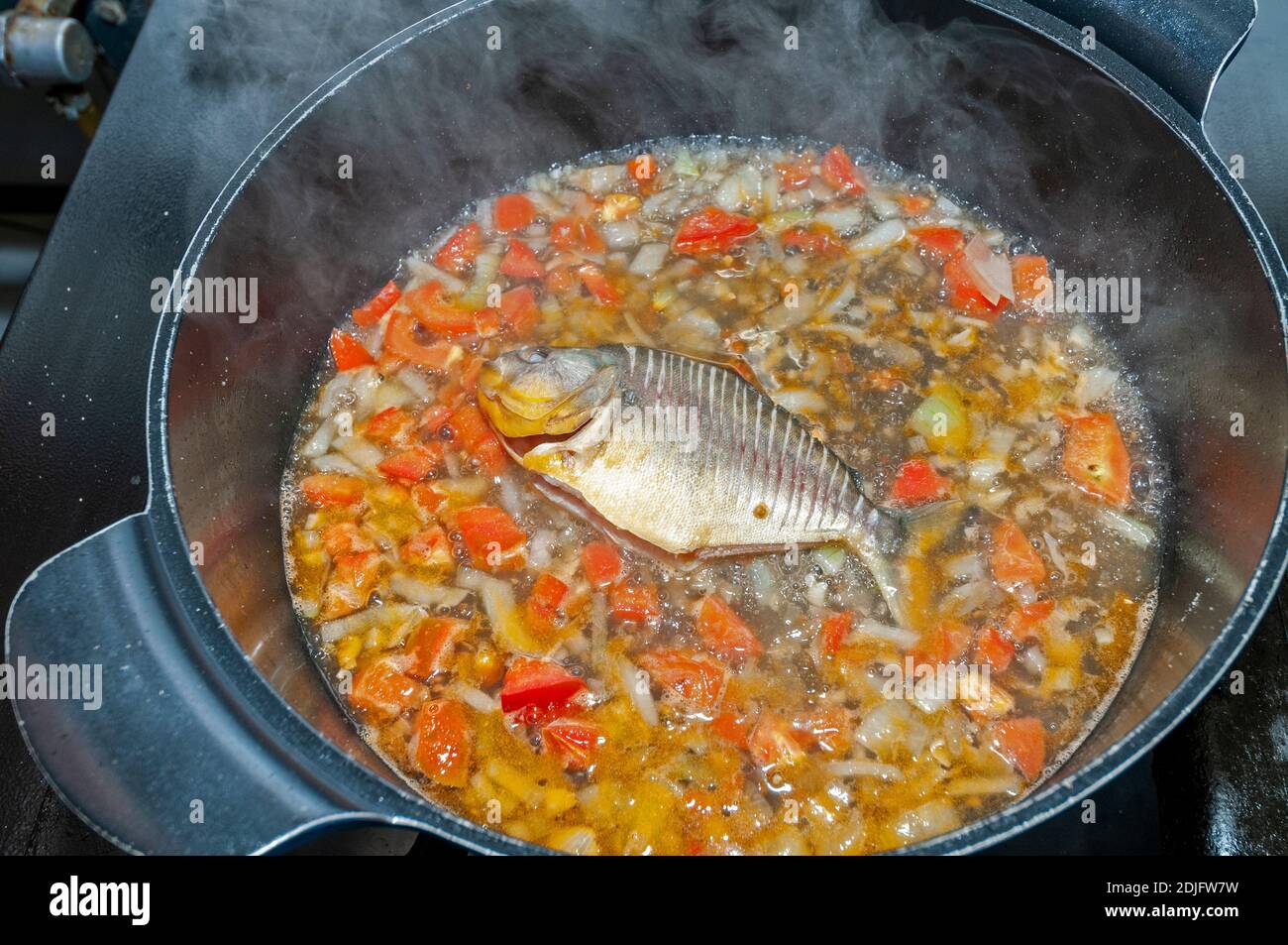 Una sopa de piranha de vientre amarillo que consiste en cebolla picada finamente y Tomates cortados en caldo de pescado en la cocina en UN Pousada do Rio Mutum - un eco-tour Foto de stock