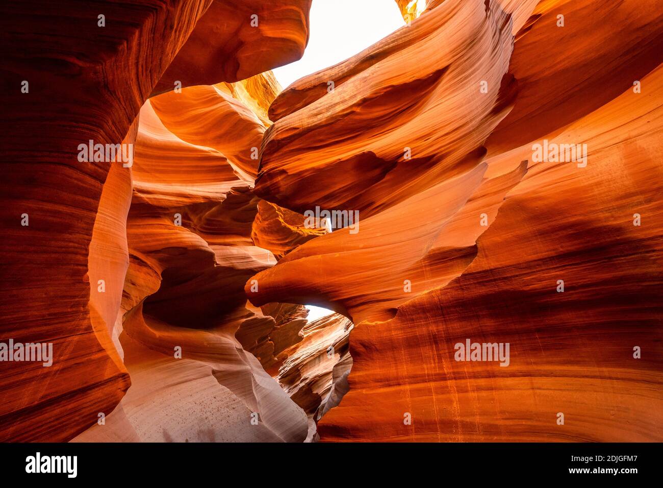 Cañón Antelope Arizona Paisaje de los Estados Unidos Fotografía de stock -  Alamy