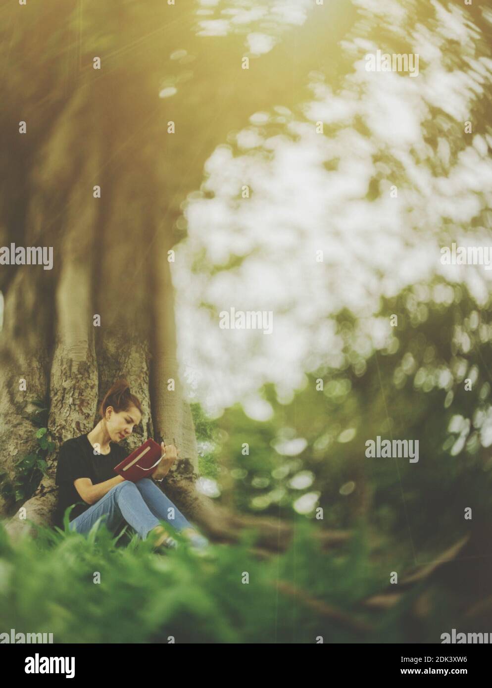 Fotografía a nivel de superficie del diario de escritura de la mujer mientras está sentado en Grassy Field en el parque Foto de stock