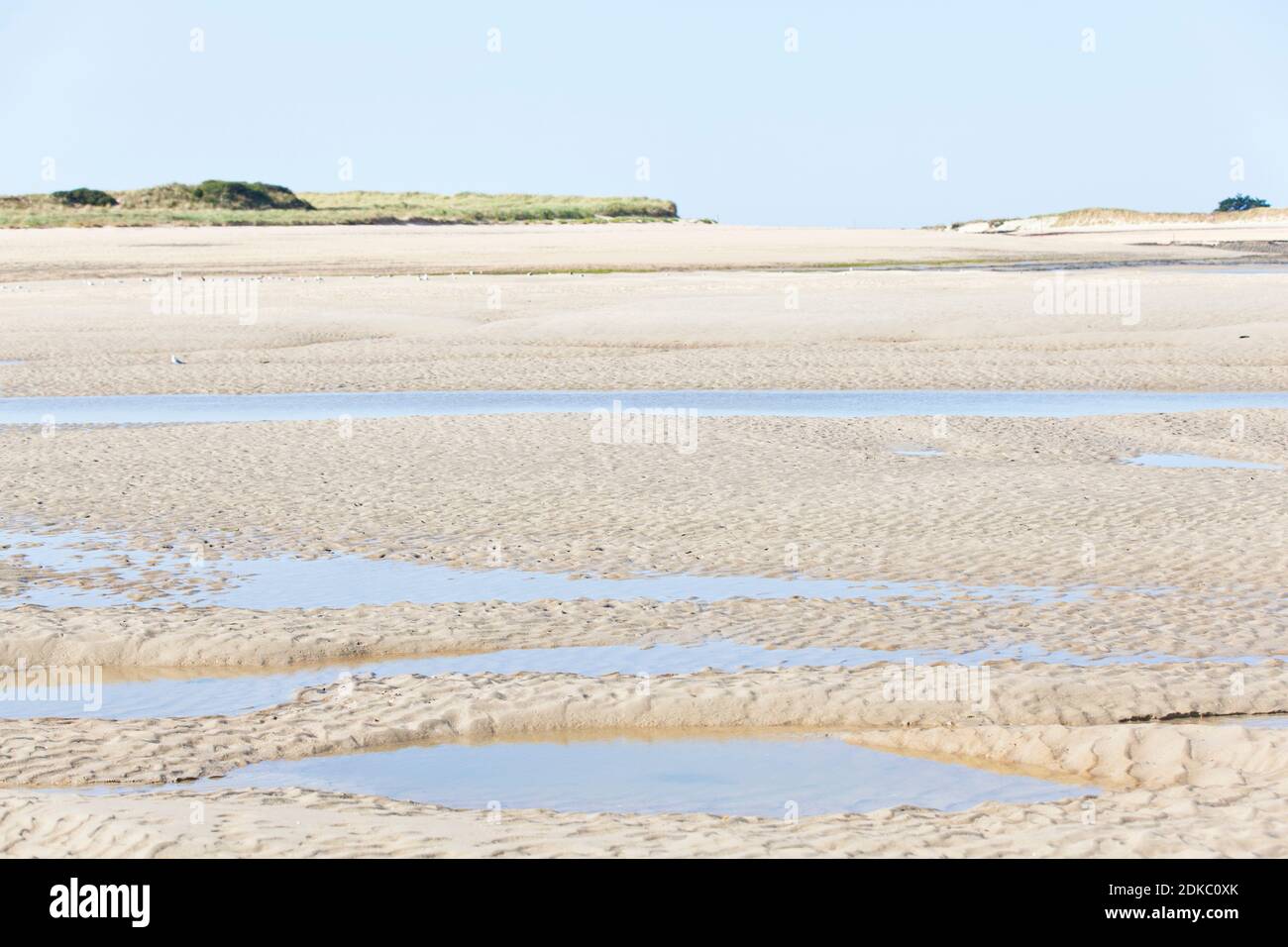 The beach at low tide in front of Portbail, Cotentin Peninsula, Normandy, France Foto de stock