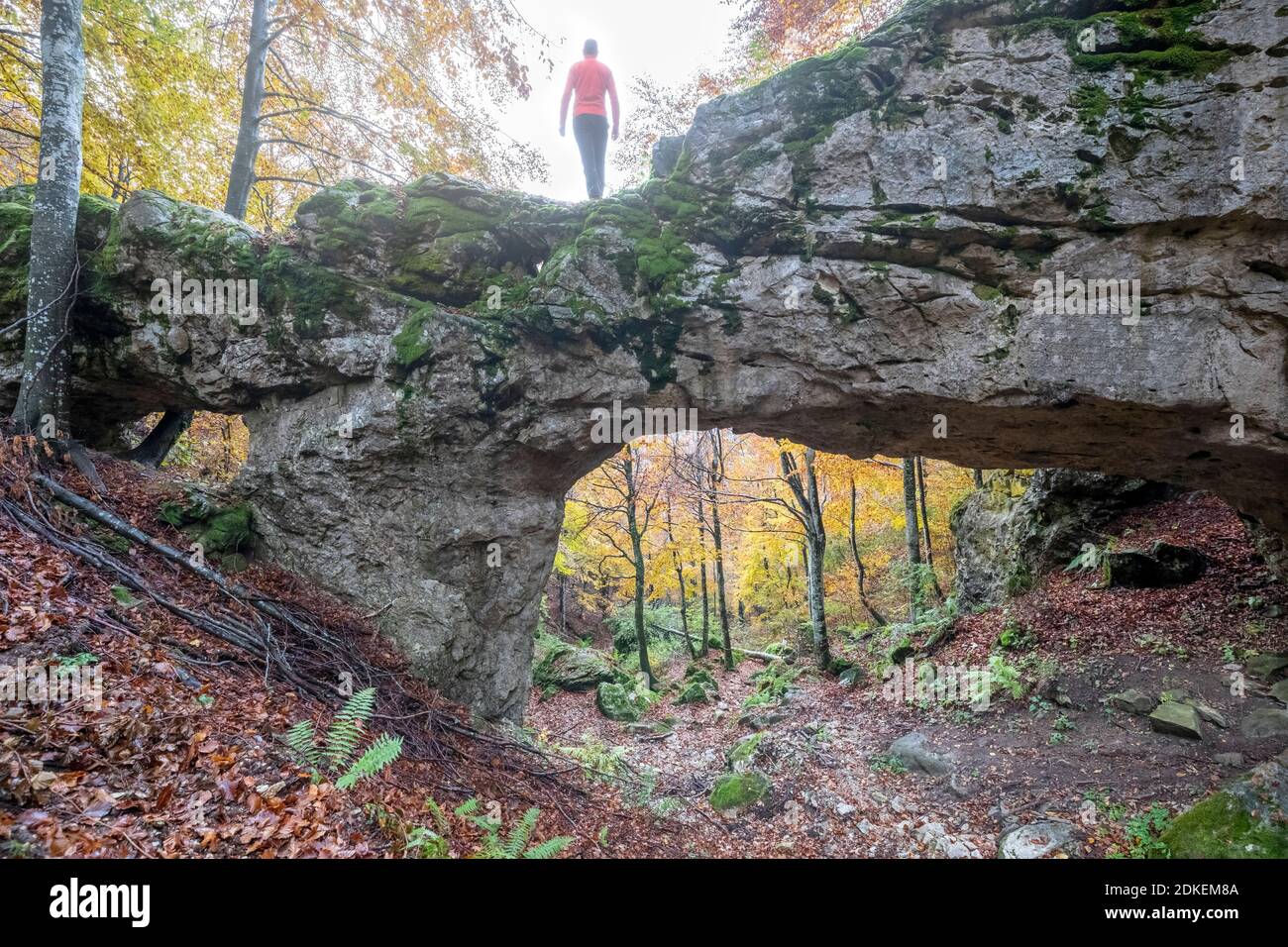 Puente de roca natural en el bosque de Val d'Arc, antigua frontera entre los municipios de Mel (hoy Borgo Valbelluna) y Miane (Treviso) establecido en 1838, lugar histórico, pre-alpes venecianos, veneto, italia Foto de stock