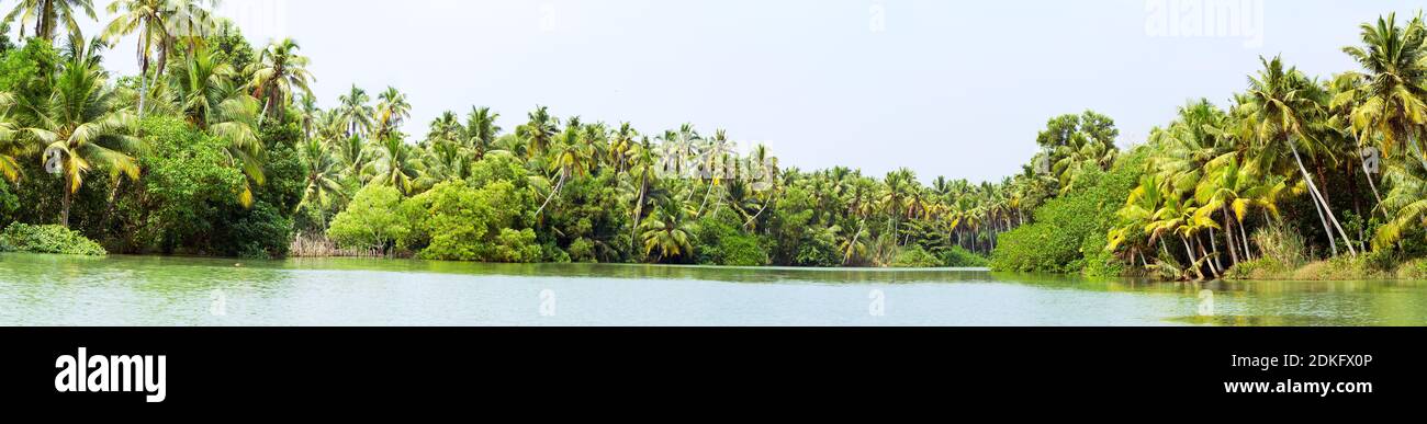 Paisaje de aguas de Kerala - una cadena de lagunas salobres y lagos que se encuentran paralelos a la costa del Mar Arábigo en Kerala, sur de la India Foto de stock