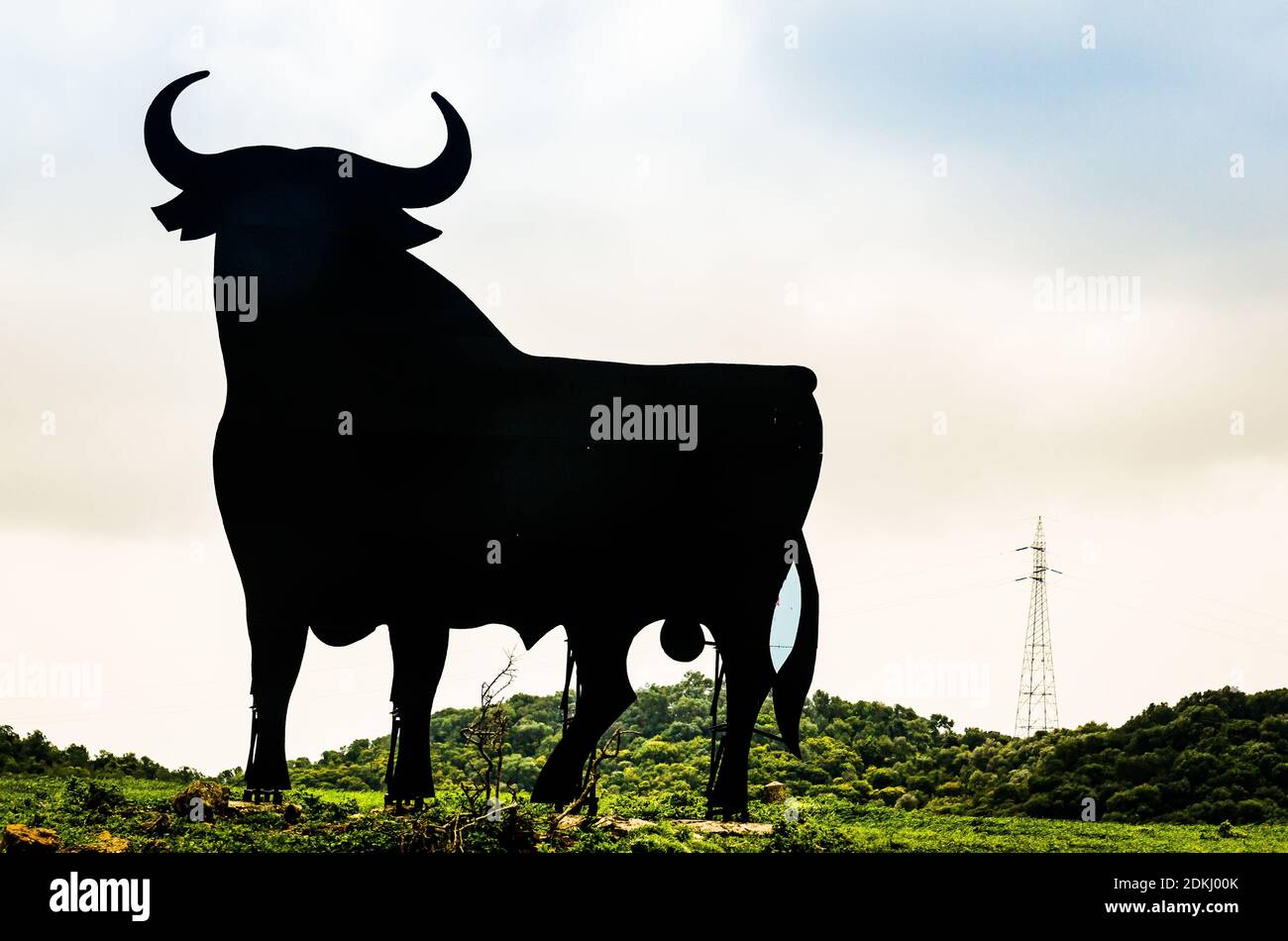 Silueta negra del toro como símbolo de España Foto de stock