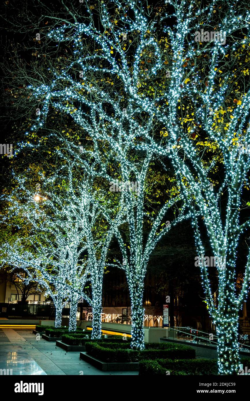 Árboles de Navidad en la ciudad Foto de stock