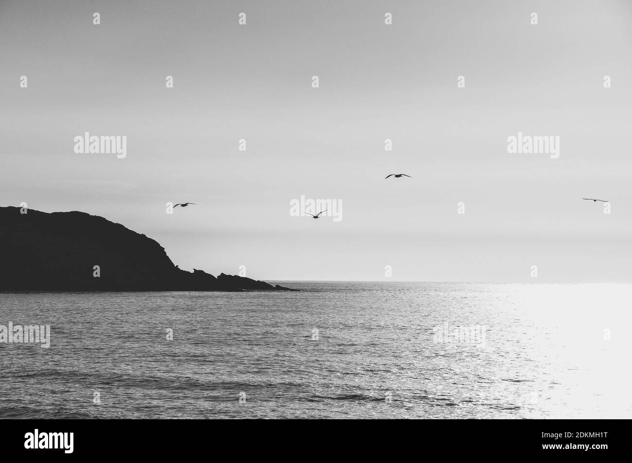 Pájaros volando sobre el mar contra el cielo Foto de stock