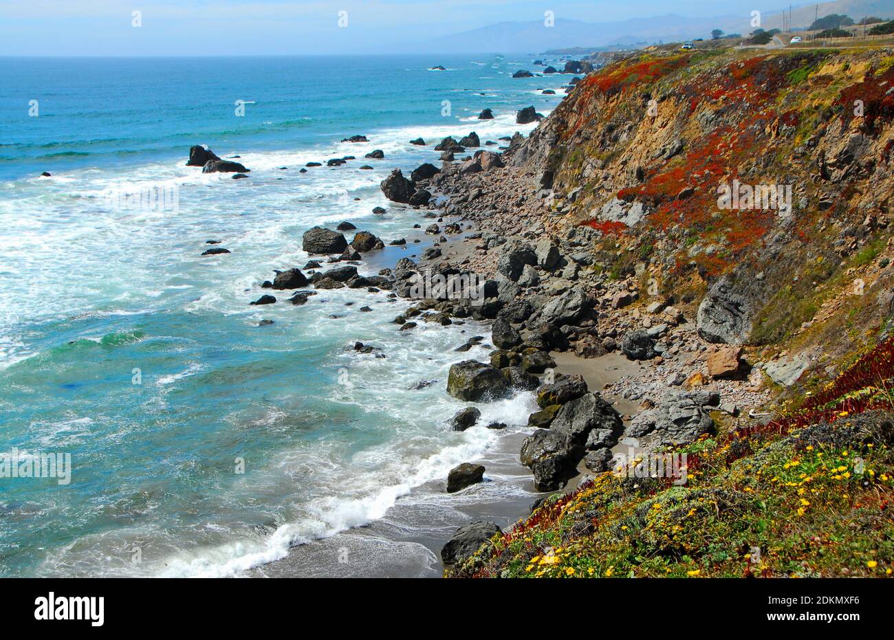 Los acantilados cubiertos de flores silvestres conducen al Océano Pacífico y a una playa con rocas y arena, en el norte de California, EE.UU. Foto de stock