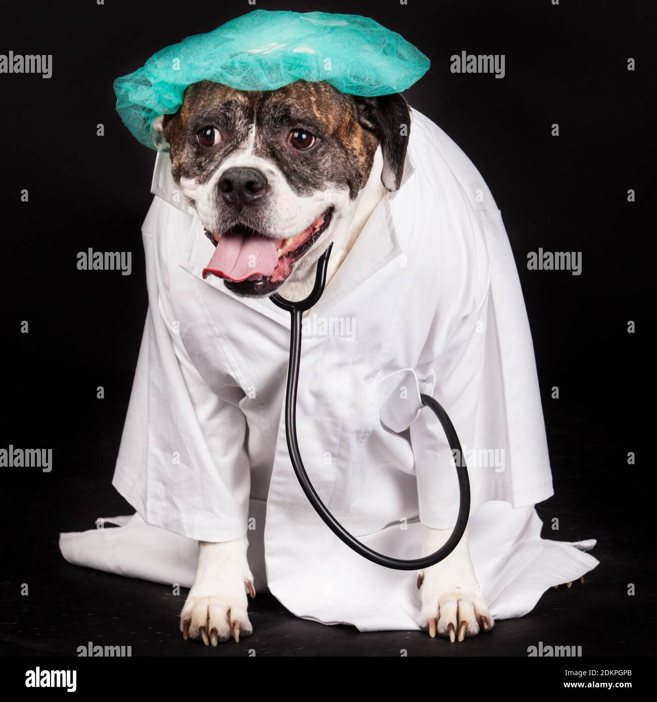 Primer plano de perro en bata de laboratorio contra fondo negro Fotografía  de stock - Alamy