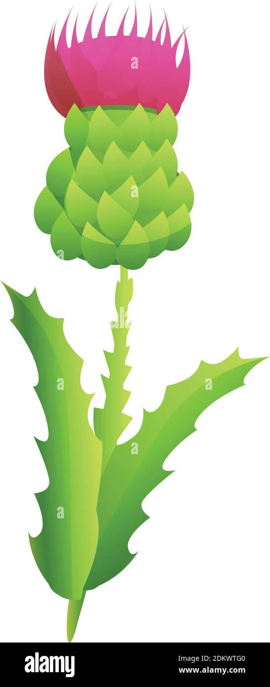 Icono de flor de Thistle. Dibujos animados de thistle flor vector icono para el diseño web aislado sobre fondo blanco Ilustración del Vector