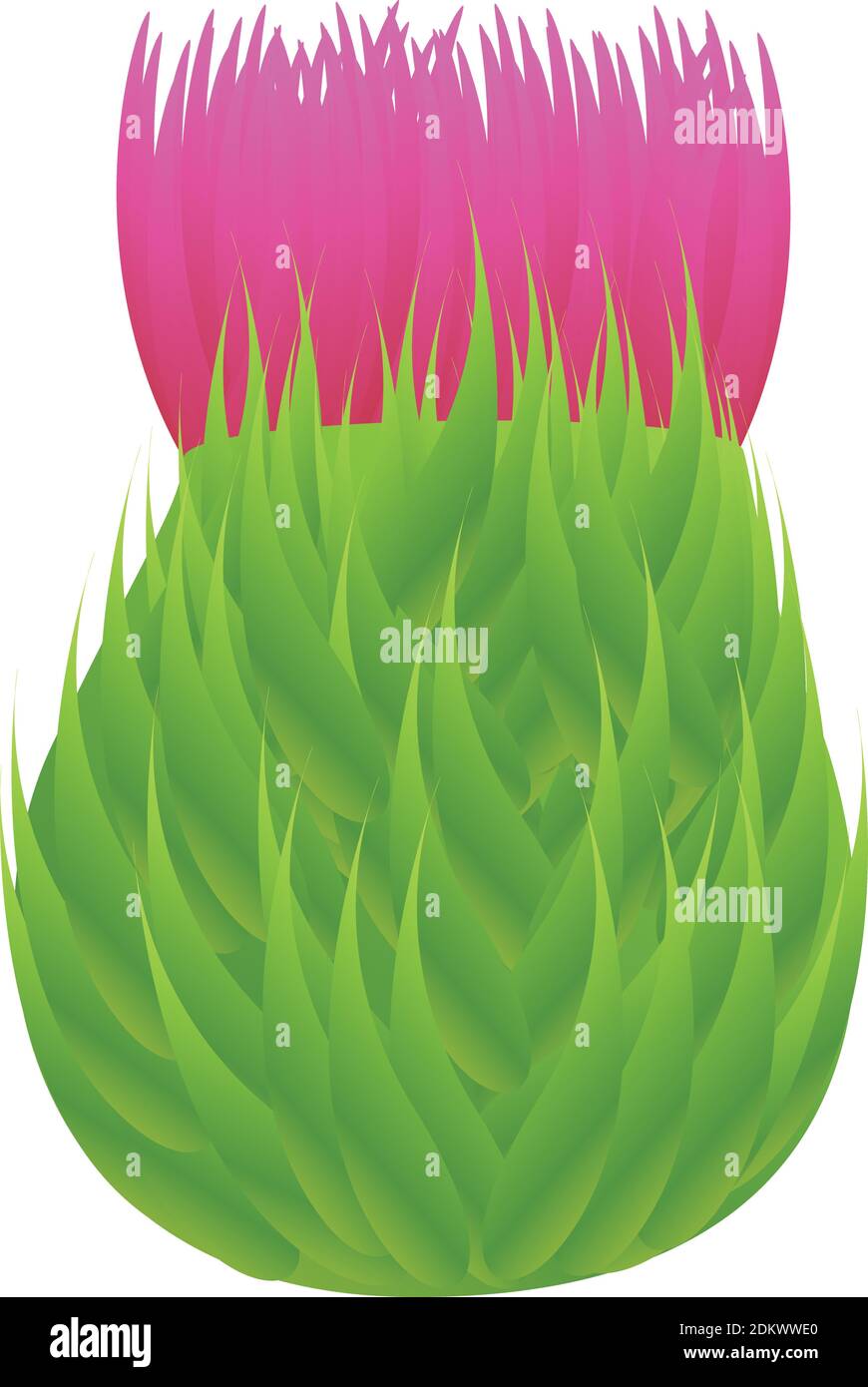 Icono de flor de cardo. Dibujos animados de Thistle flor vector icono para diseño web aislado sobre fondo blanco Ilustración del Vector
