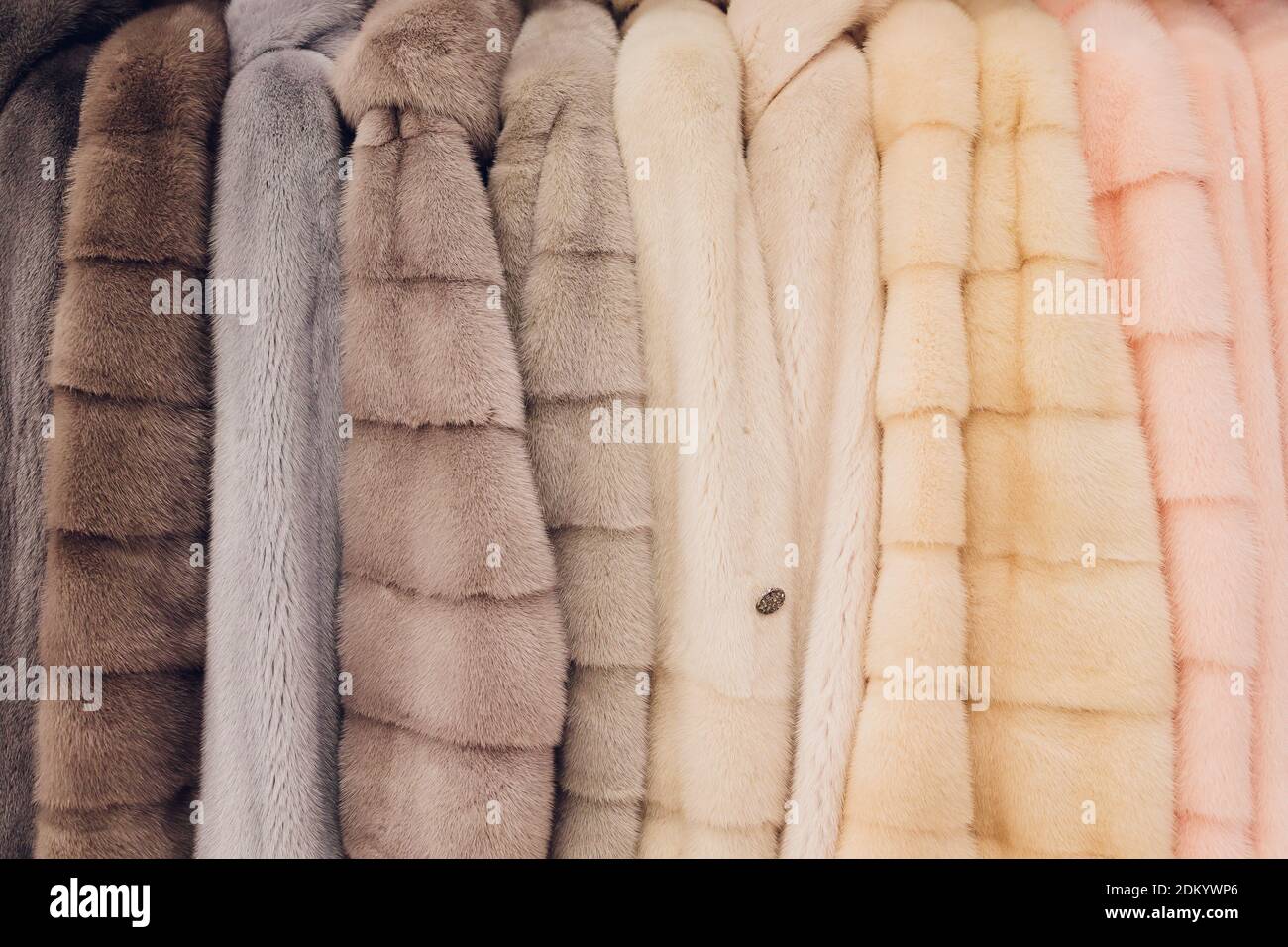 Abrigos de lujo. de color gris, marrón, perla en escaparate de mercado. El mejor regalo para mujeres es el abrigo de la mink. Ropa exterior. De cerca Fotografía