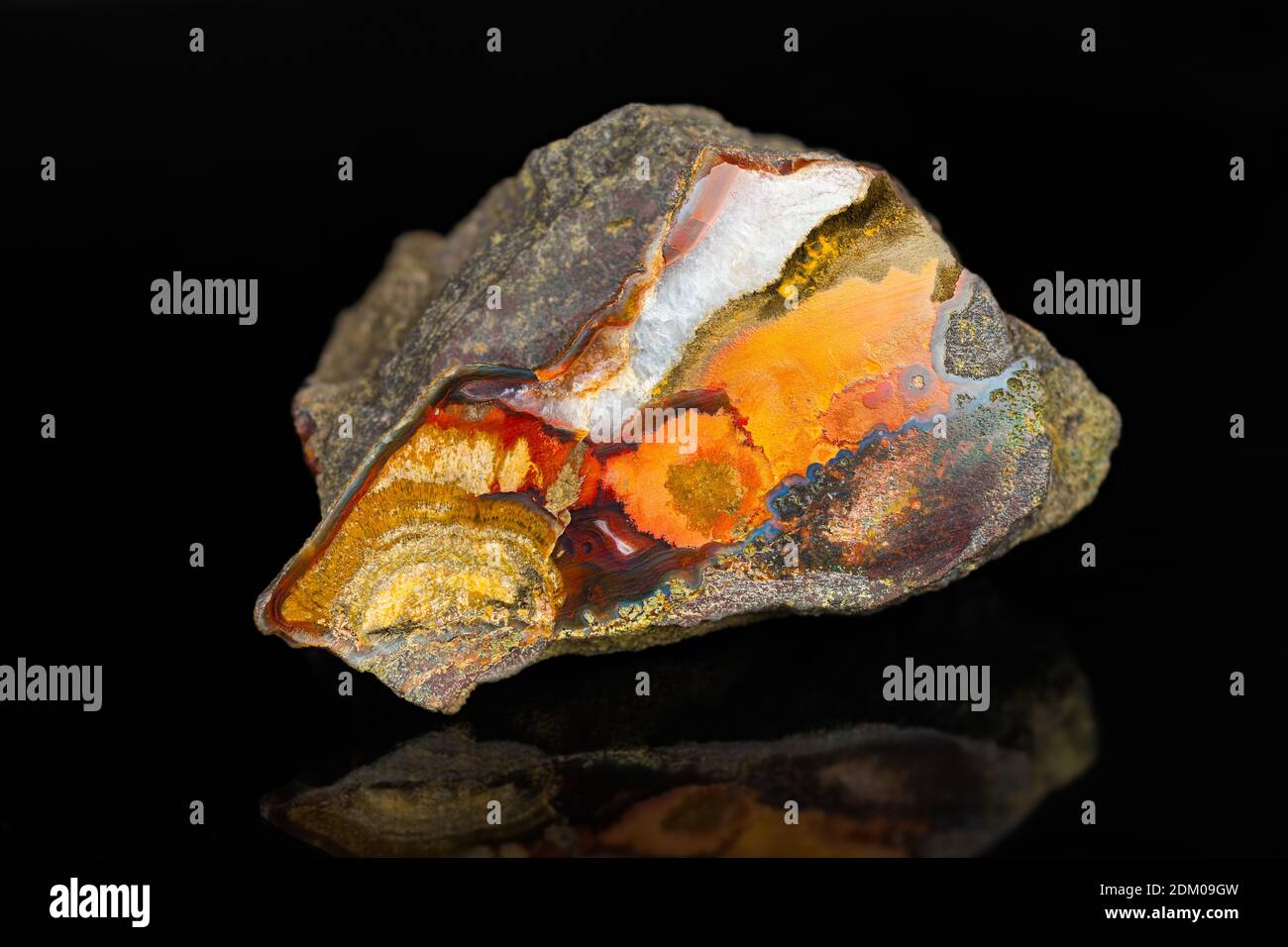 Sección transversal de piedra preciosa de Jasper con espejo sobre fondo negro. Primer plano de roca mineral pulida cortada. Hermosa pieza coleccionable de colores. Foto de stock