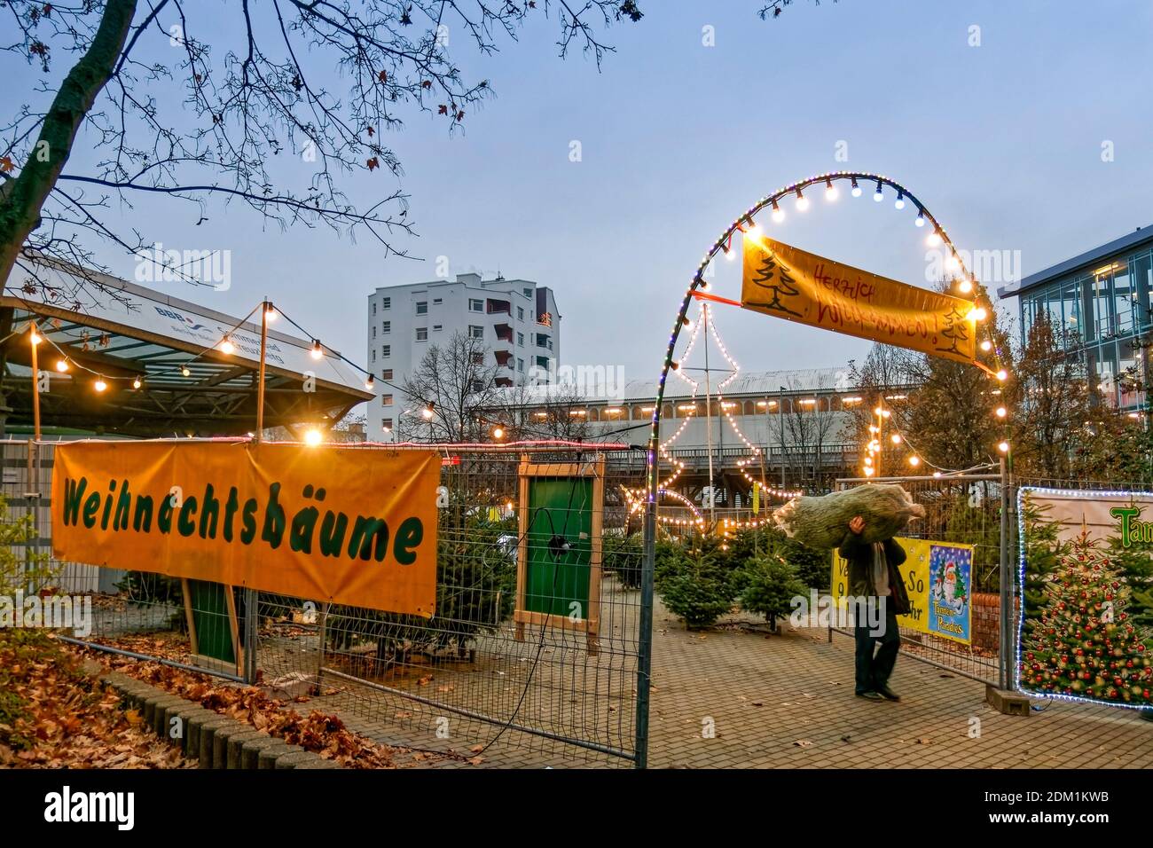 Verkauf von Weihnachtsbaeumen am Prinzenbad en Kreuzberg, Berlín Foto de stock
