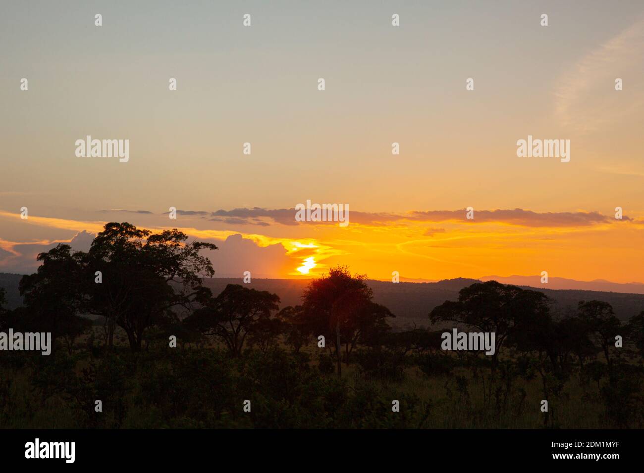 Vista de la puesta de sol de la sabana en el Serengeti Foto de stock