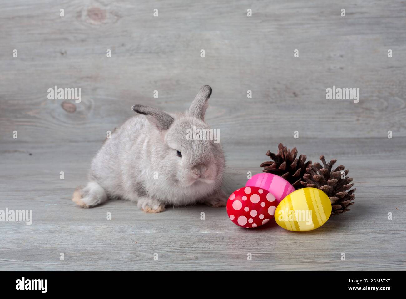 Feliz día de Pascua. Conejito de Pascua lindo con huevos de Pascua pintados sobre fondo de madera. Foto de stock