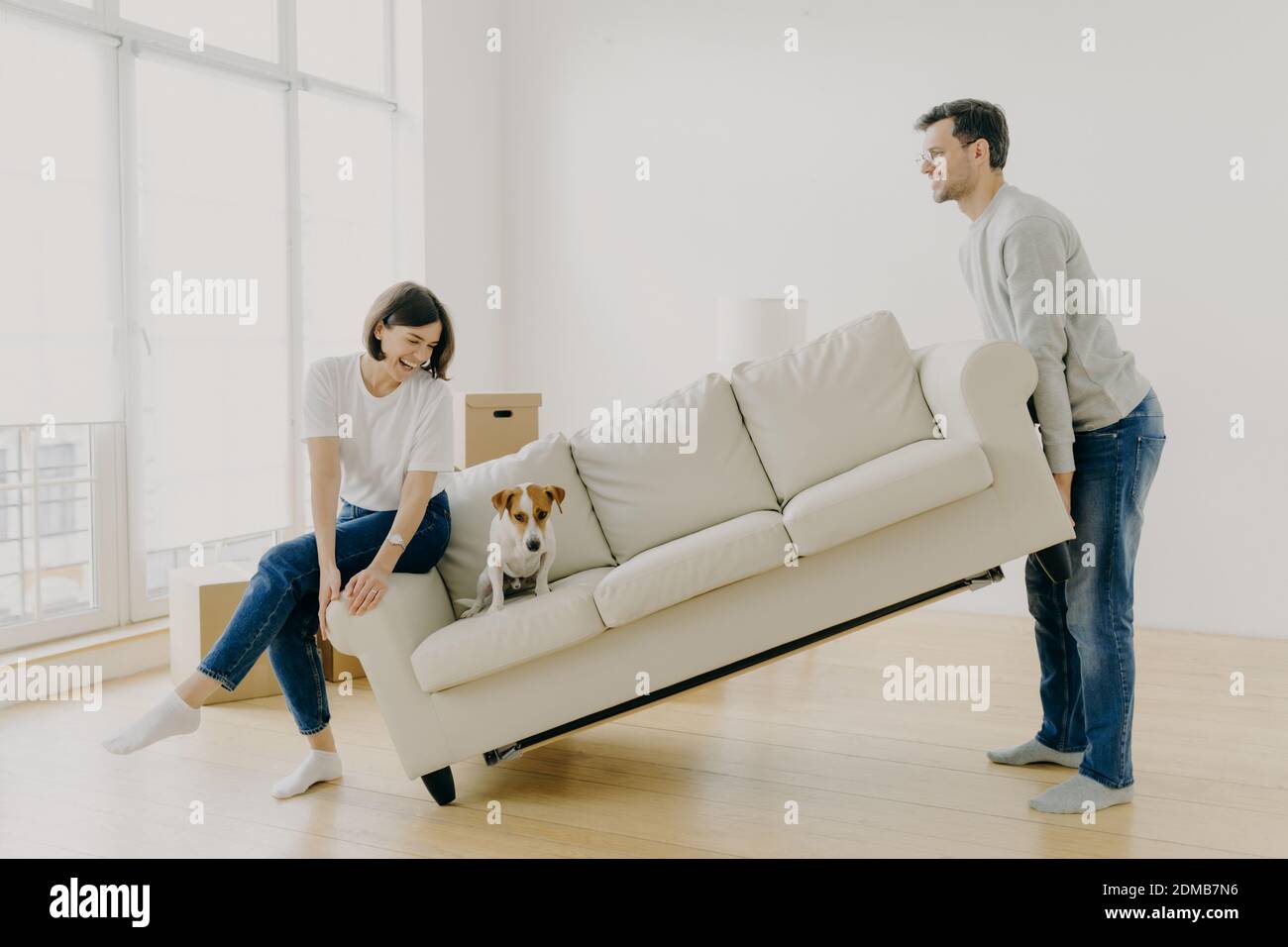 Feliz pareja llevar moderno sofá blanco con perro juntos, colocar los  muebles en la sala de estar, el cuidado de la mejora del diseño interior,  empezar a vivir en un nuevo hogar,