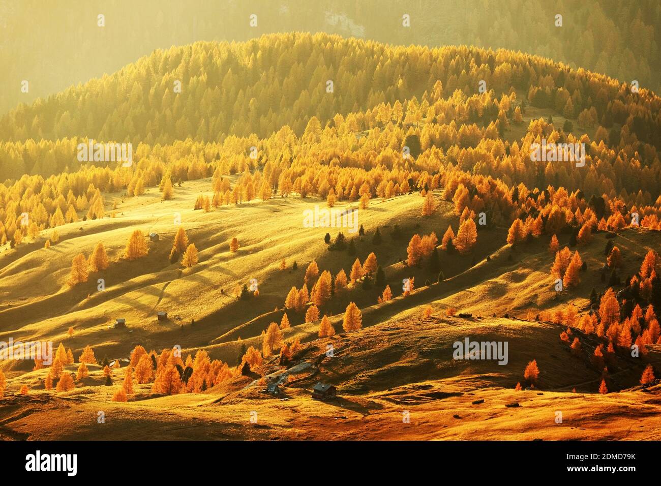 Un alto ángulo de visualización de árboles en campo contra Mountain Foto de stock