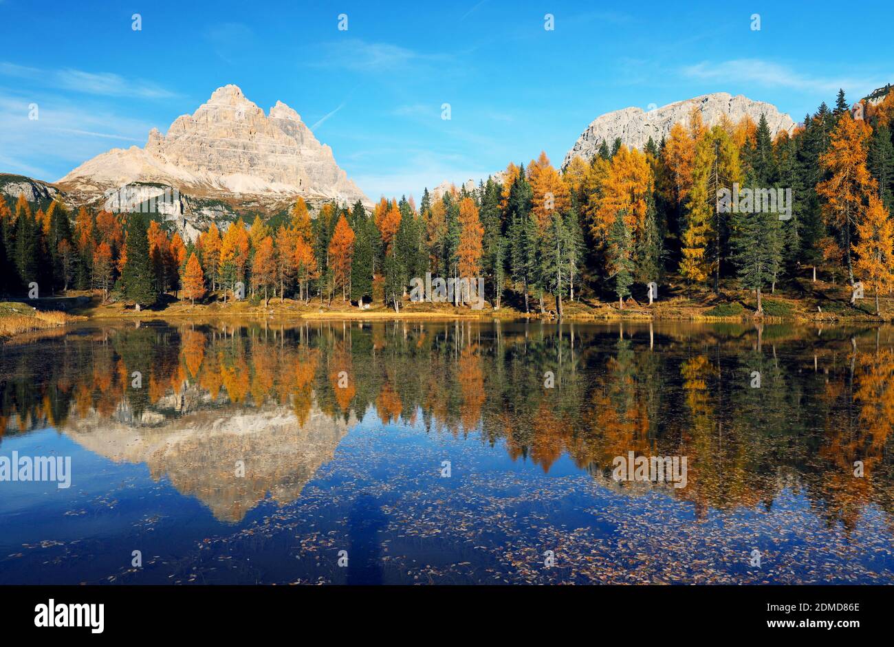 Vista panorámica del lago por los árboles durante el otoño Foto de stock