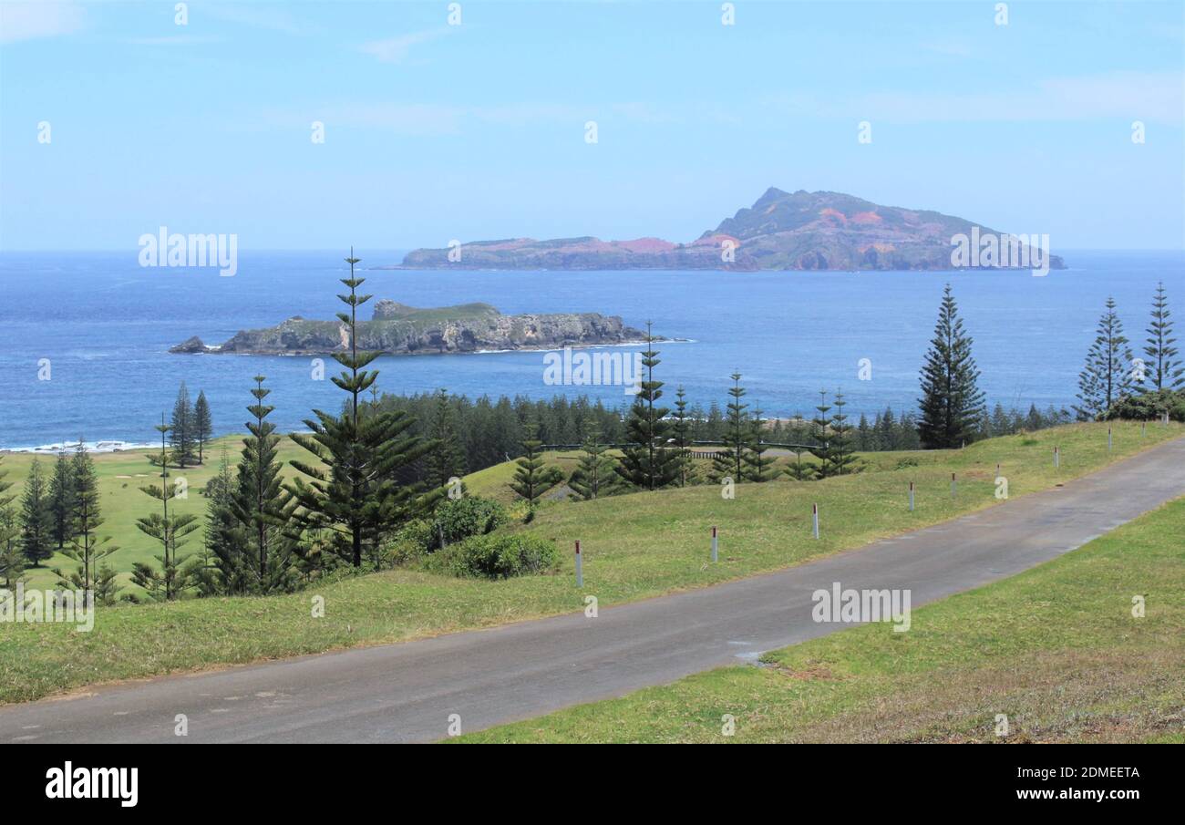 Isla Norfolk. Nepean & Phillip Island visto desde Rooty Hill Road con endémico Norfolk Island Pines. (Araucaria heterophylla) Foto de stock