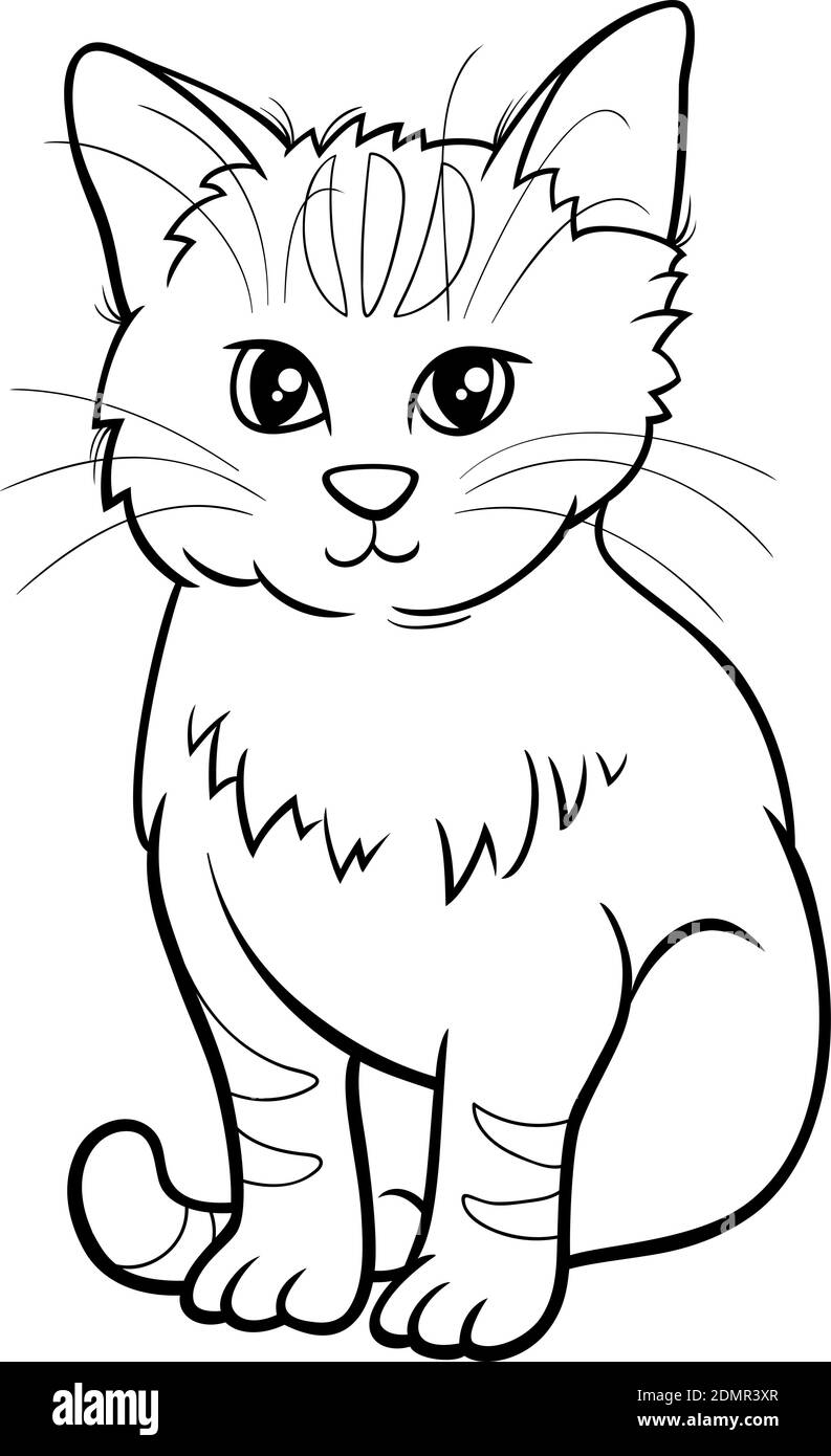 Dibujo de dibujos animados en blanco y negro de cómic de gatito gris página  del libro de colores de caracteres de animales Imagen Vector de stock -  Alamy