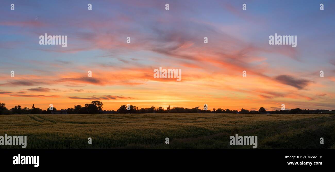 Puesta de sol en verano sobre Fields Stapleford, Cambridge, Reino Unido Foto de stock