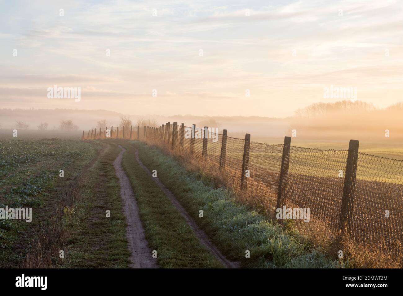 Camino junto a la valla con la niebla que se levanta de los campos, Stapleford, Cambridge, Reino Unido Foto de stock