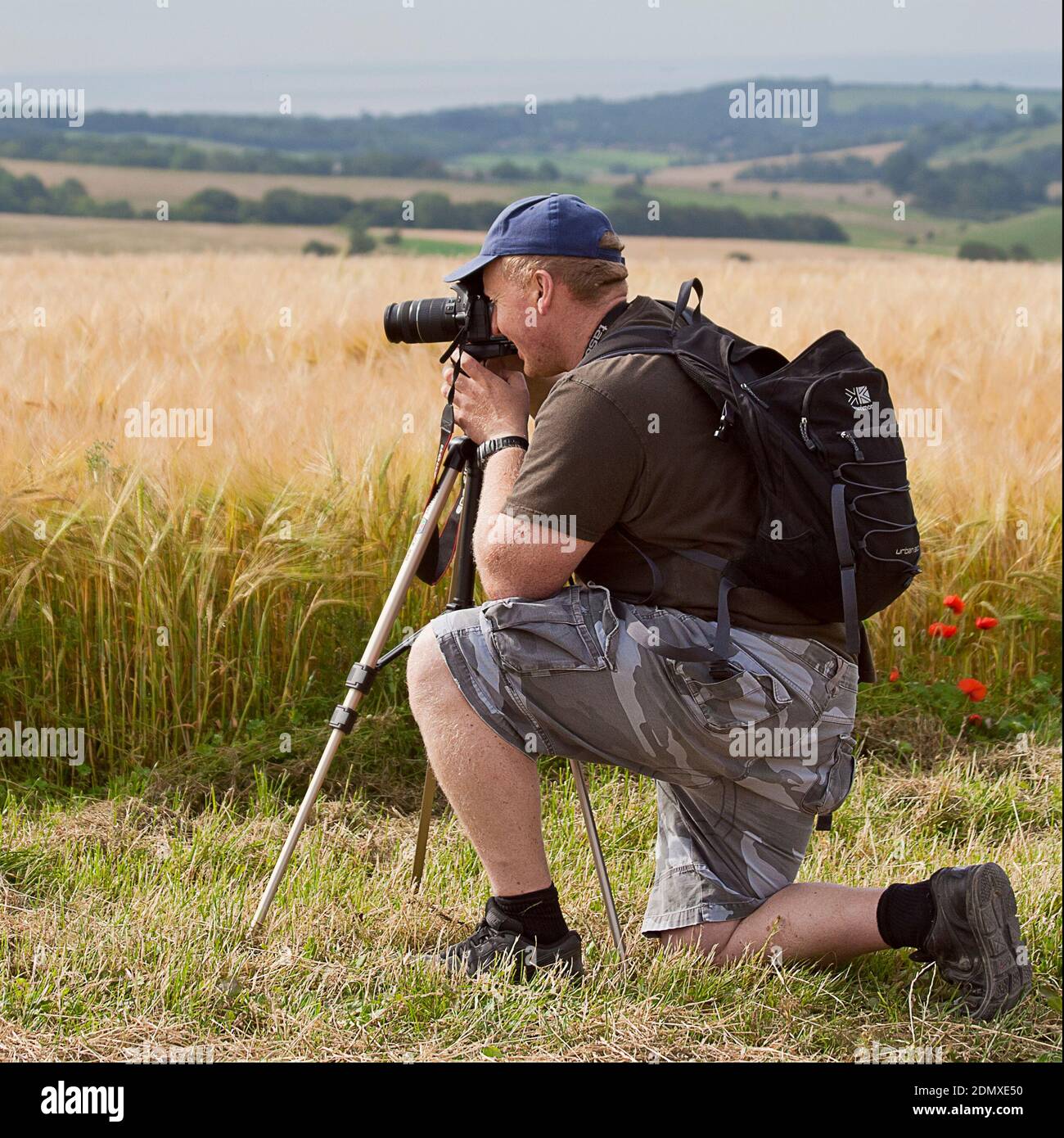 Hombre fotógrafo arrodillado por un campo de cebada mirando a través de su cámara montada en un trípode. Paisaje de formato cuadrado con colinas en el fondo. Foto de stock