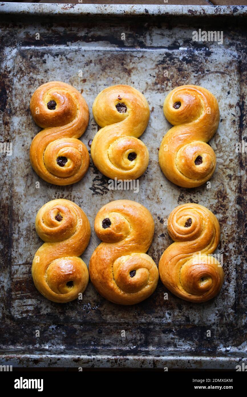 Lussekater, tradicionales bollos dulces de azafrones suecos. Foto de stock