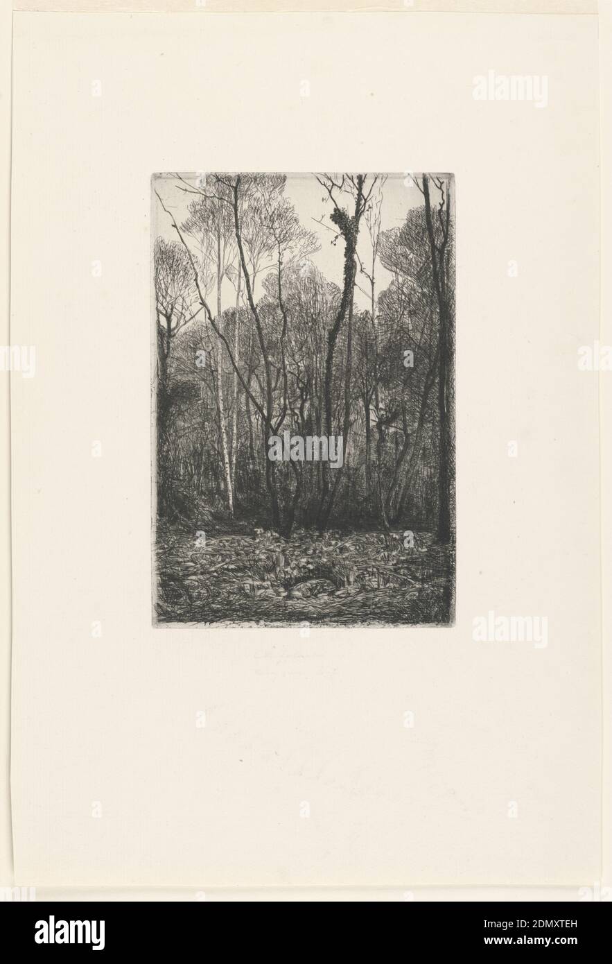 Paisaje con árboles, François-Nicolas Chifflart, francés, 1825 - 1901, grabado en tinta negra sobre papel blanco, Francia, ca. 1860, impresión Foto de stock
