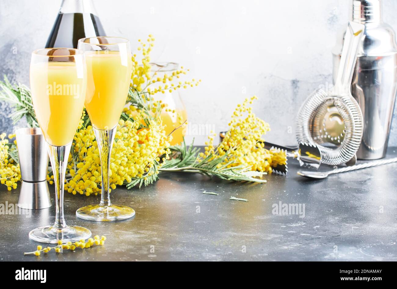 casado encuentro Silicio Cóctel de alcohol Mimosa con jugo de naranja y champagne seco frío o vino  espumoso en copas, barra gris fondo con flores de yelow, copia sp  Fotografía de stock - Alamy