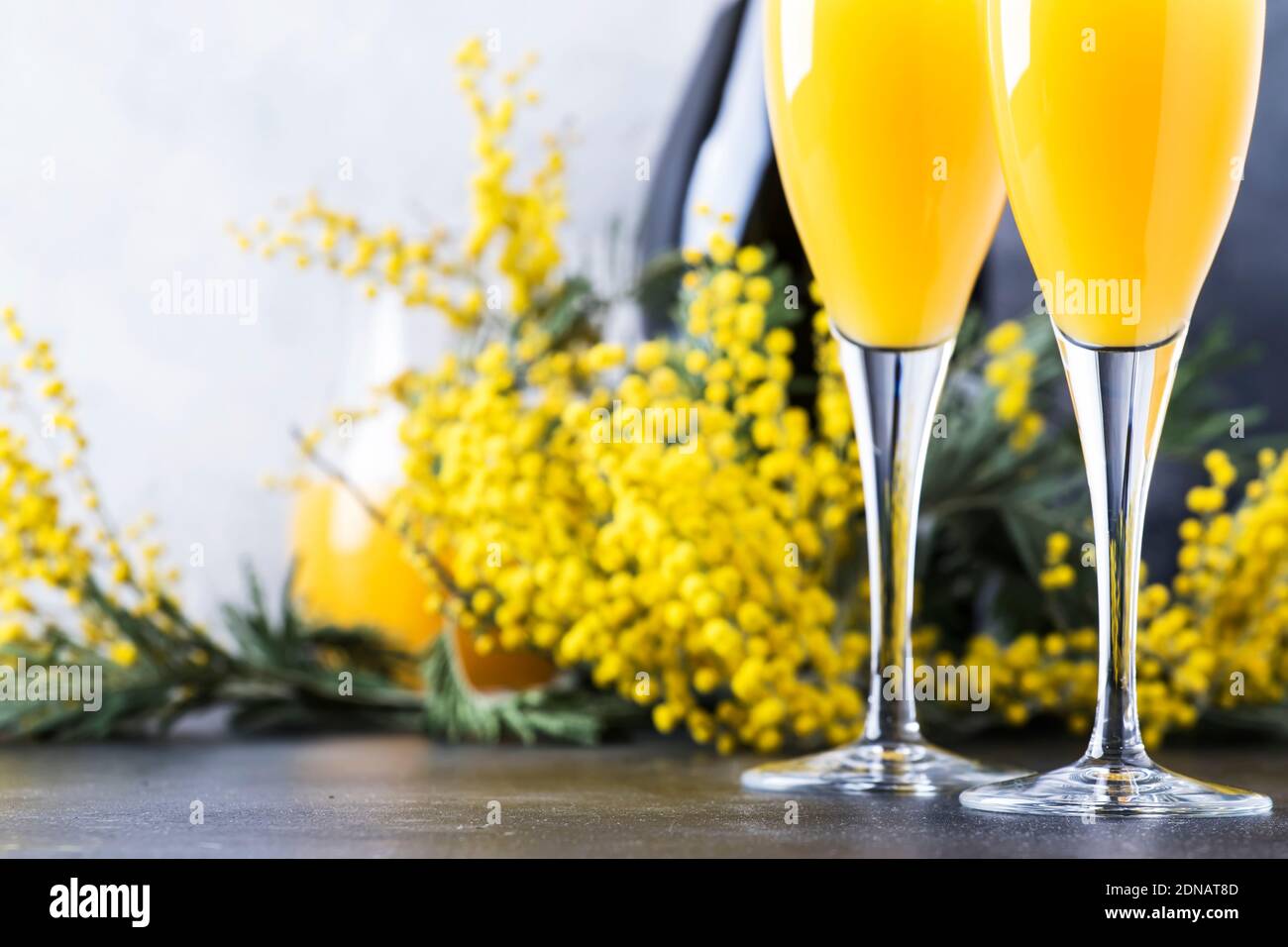 Cóctel de alcohol de primavera mimosa con jugo de naranja y champagne seco frío vino espumoso copas, barra gris de fondo con flores de yelow Fotografía stock - Alamy