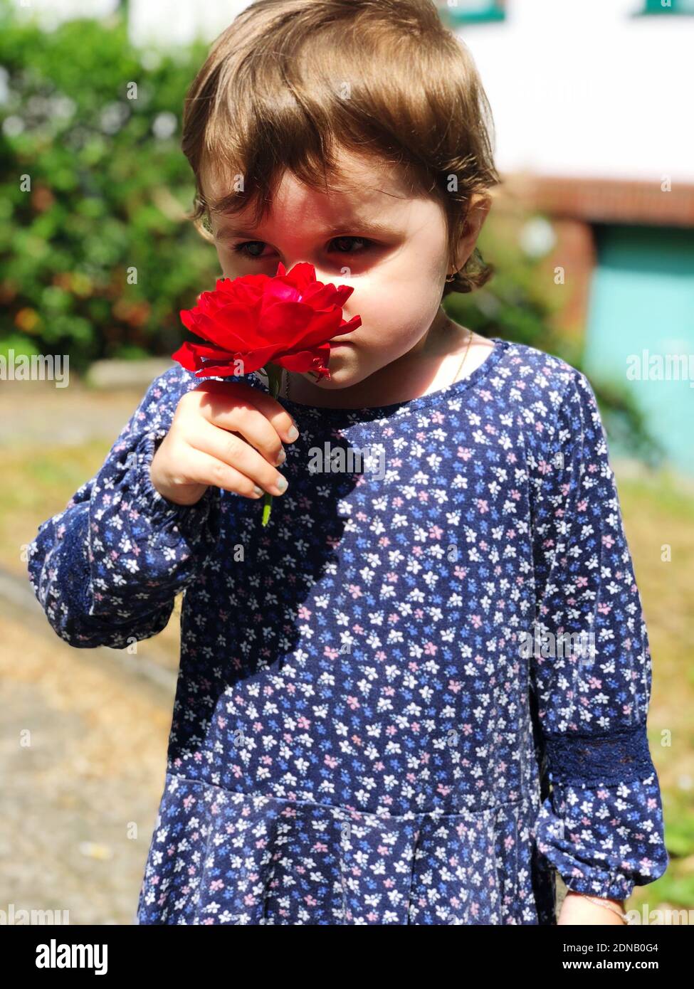 Chica linda que huele a flor mientras está de pie en el campo Fotografía de stock - Alamy Chica linda que huele a flor mientras está de pie en el campo Fotografía de stock - Alamy