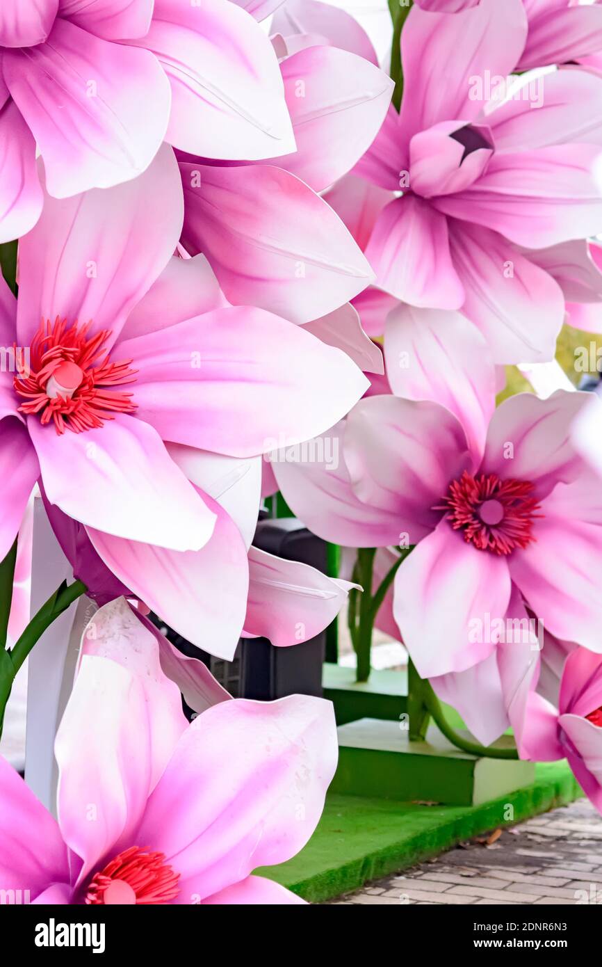 Las orquídeas artificiales grandes son de color rosa Fotografía de stock -  Alamy
